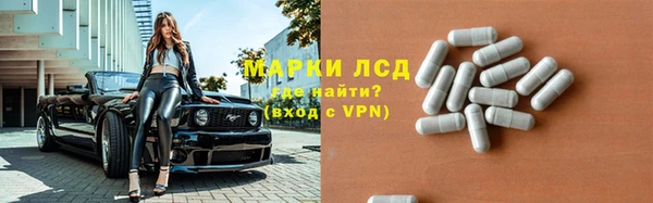 молекула духа Арсеньев