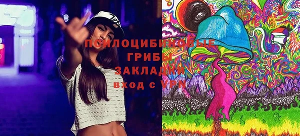 ешки Аркадак