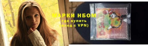 молекула духа Арсеньев