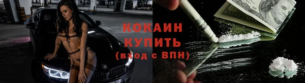 молекула духа Арсеньев