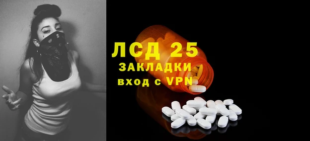 молекула духа Арсеньев