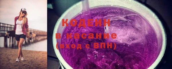 молекула духа Арсеньев