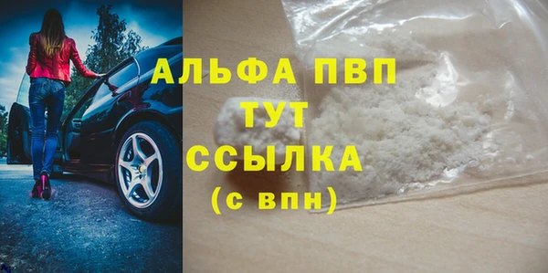 молекула духа Арсеньев