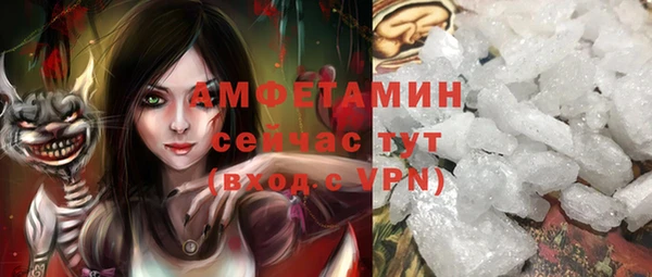 молекула духа Арсеньев