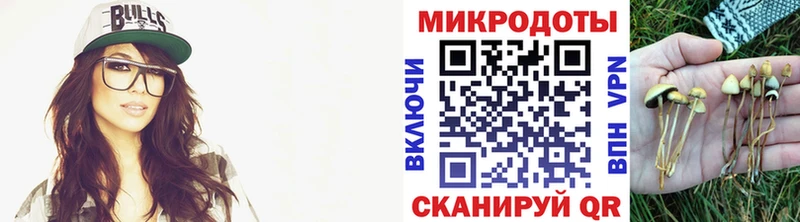 Галлюциногенные грибы Magic Shrooms  Купить где  Озёры 